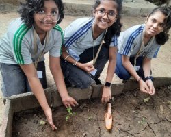 Std VI Field Trip to Eco Farm at Wada